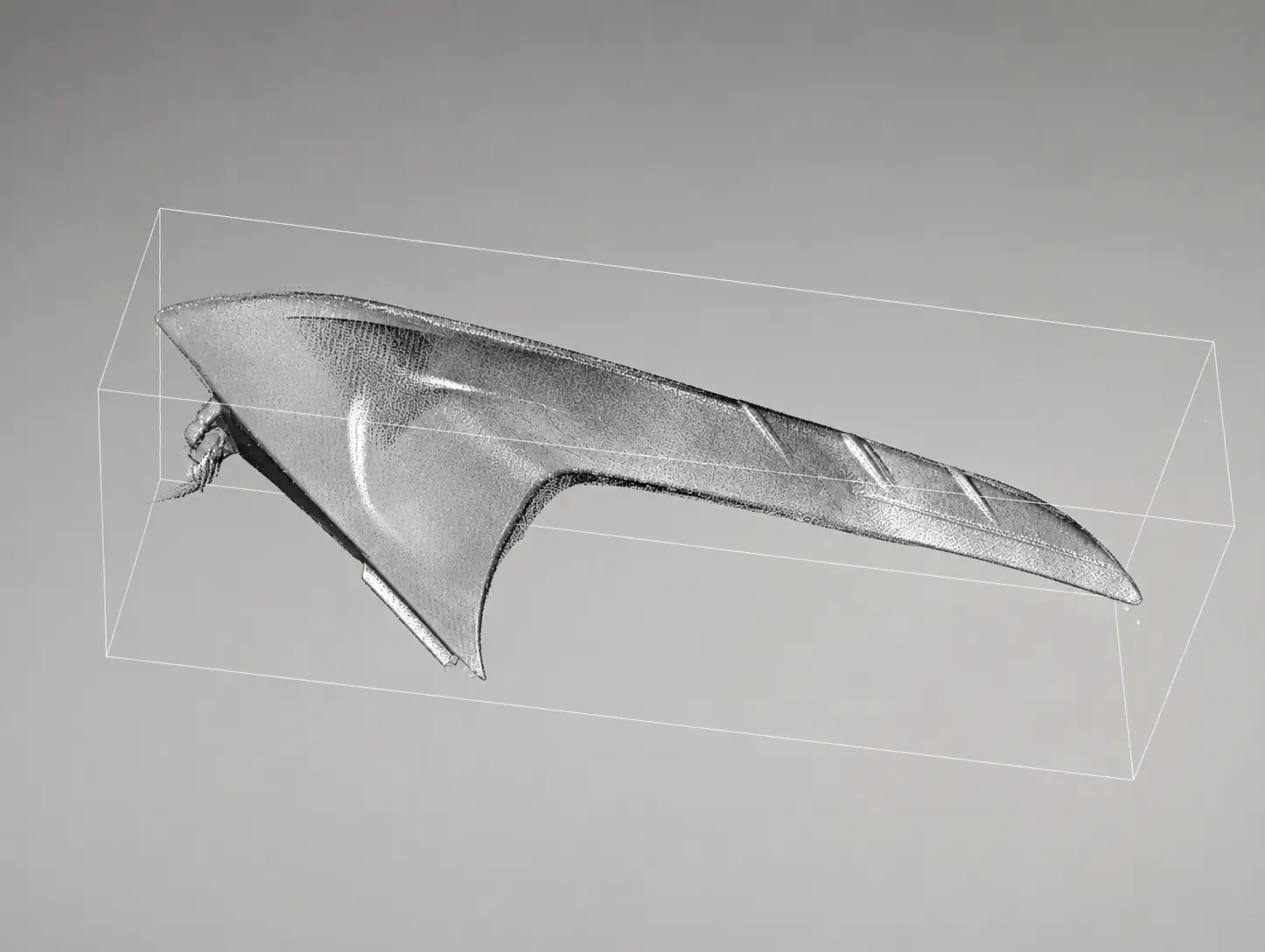 3D scan wireframe